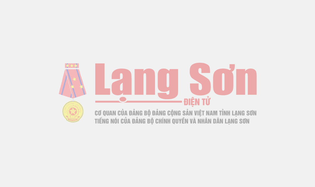 Nhiều người nhập viện do va chạm giao thông