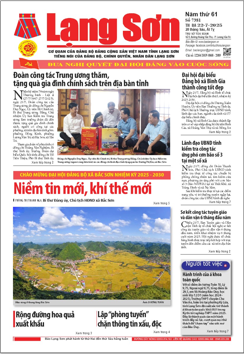Số 7381 ngày 22/7/2025 