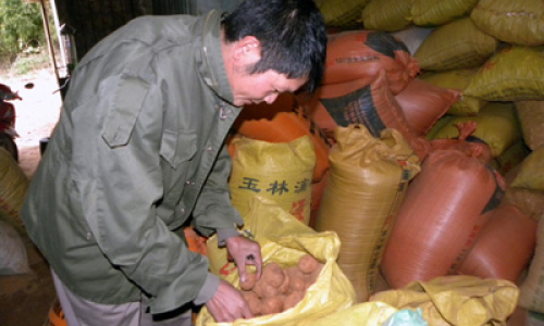 Lộc Bình vào vụ đông
