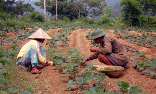 Đảm bảo nguồn vốn cho vay để hộ nghèo phát triển sản xuất