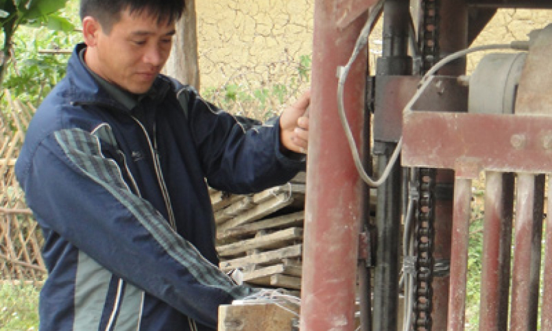 Năng động ở vùng 3