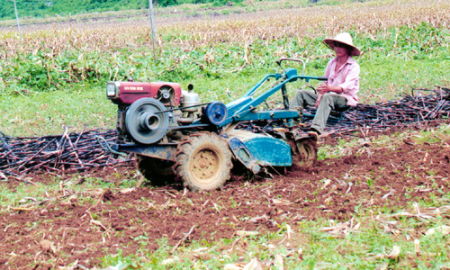 Nâng cao hiệu quả sản xuất: Chuyển dịch cần sự đồng bộ