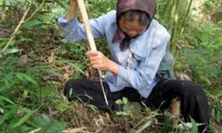 Phóng sự ảnh: "Hành trình lên núi"