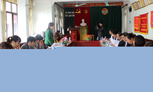 Kiểm tra công tác tổ chức lấy ý kiến nhân dân vào Dự thảo sửa đổi Hiến pháp năm 1992 tại Hội Nông dân