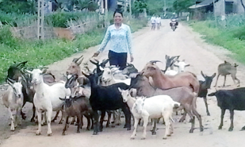 Chị Thuyến thoát nghèo
