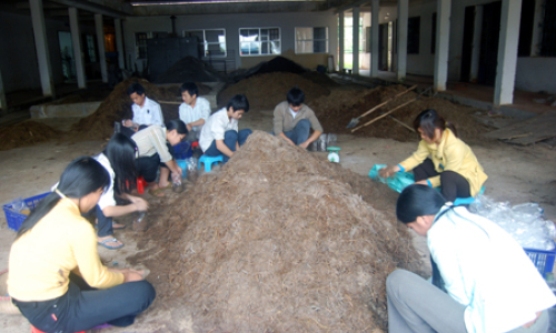 Phân luồng học sinh sau THCS: Khó nhưng không thể không làm