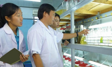 Ba chương trình học bổng của VEF