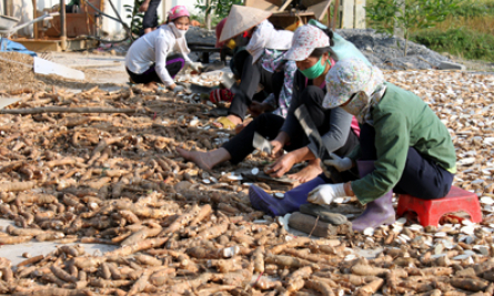 Đổi thay nơi miền đất Ải