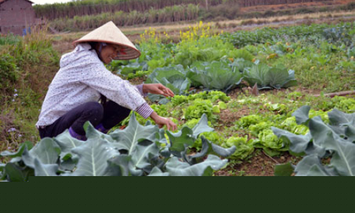 Nơi tháng Giêng không là tháng chơi