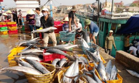 Đề xuất cơ chế mới phù hợp với phương hướng phát triển của ngành thủy sản