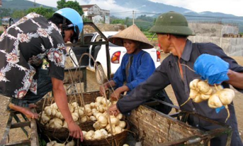 Năng động Lộc Bình