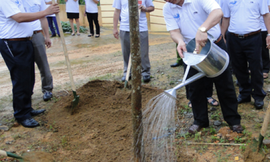 Ngày Môi trường thế giới 2014: Hãy hành động để ngăn nước biển dâng