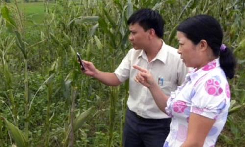 Cảnh giác trước bệnh lạ