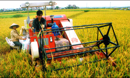 Cần tăng cường ứng dụng khoa học công nghệ vào sản xuất nông nghiệp