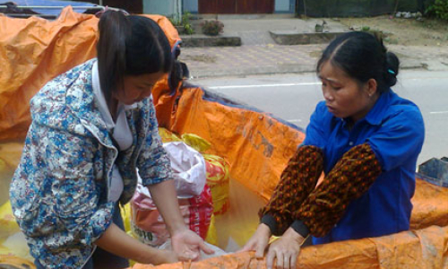 Chọn hướng đi cho cây thông