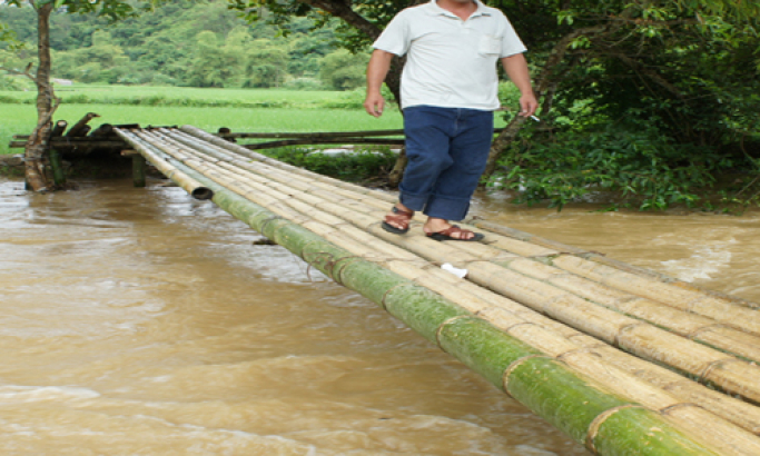 Mất an toàn từ những cầu tre ở Hồng Thái