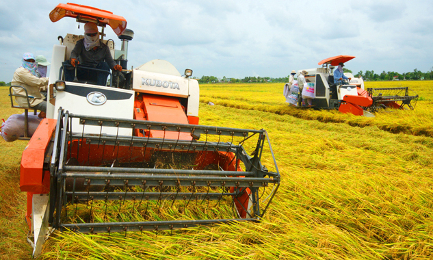 Liên kết 4 nhà phát triển khoa học kỹ thuật về nông nghiệp cho vùng Đồng bằng sông Cửu Long