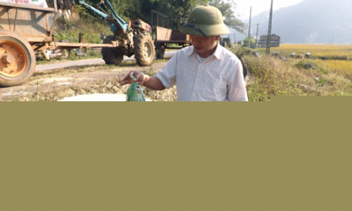 Hiệu quả ở Quỳnh Sơn