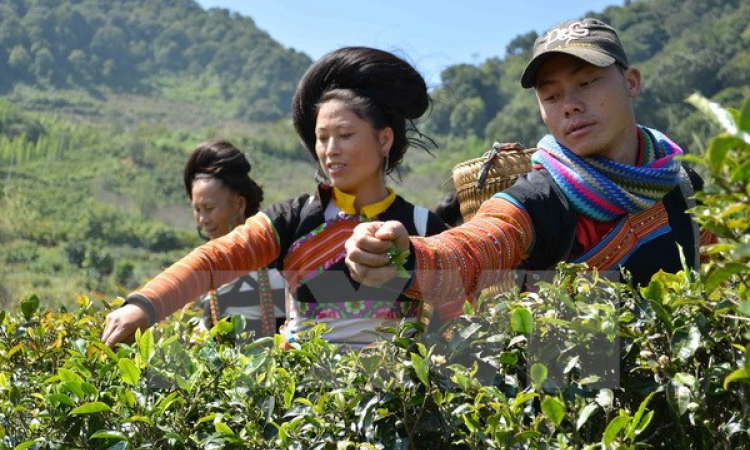 Miền Bắc nhiệt độ tăng nhẹ, Biển Đông có gió giật cấp 7-8