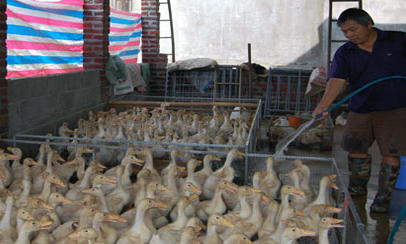 Thước đo nông thôn mới