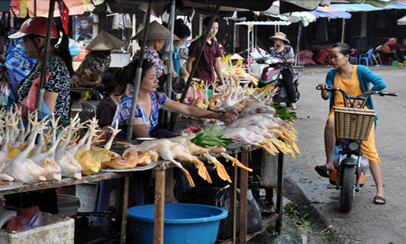 Thịt an toàn - hy vọng của người tiêu dùng