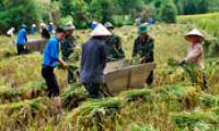 Bộ đội Biên phòng Lạng Sơn thực hiện công tác đền ơn đáp nghĩa