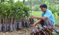 Trưởng thôn “dân vận khéo”