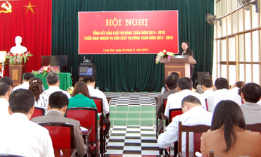 Triển khai sản xuất đông xuân 2015-2016