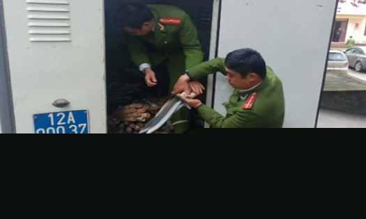 Tăng cường sự lãnh đạo của Đảng trong phòng, chống tội phạm