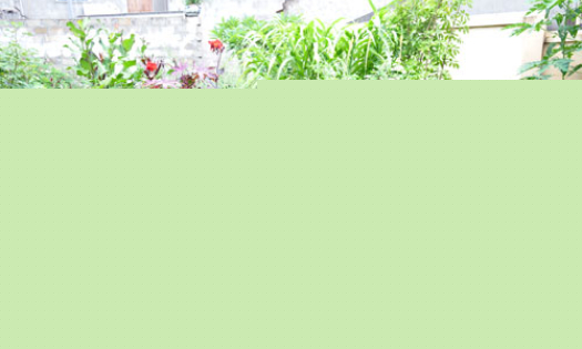 Kết hợp y học cổ truyền và y học hiện đại: Lợi thế của y tế Lạng Sơn