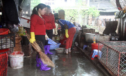 Cần kiểm soát gia cầm tại các chợ