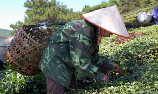 Tạo chuyển biến từ người sản xuất