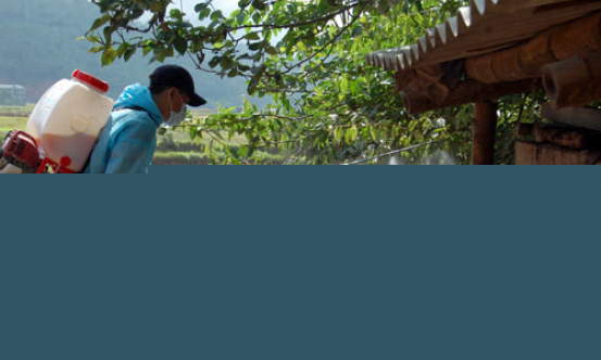 Thúc đẩy kinh tế nông thôn
