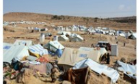 Báo động về số lượng người di cư tại Yemen