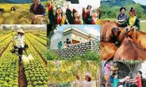 Thành lập BCĐ Trung ương các chương trình mục tiêu quốc gia