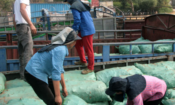 Đấu tranh phòng, chống tội phạm buôn bán người