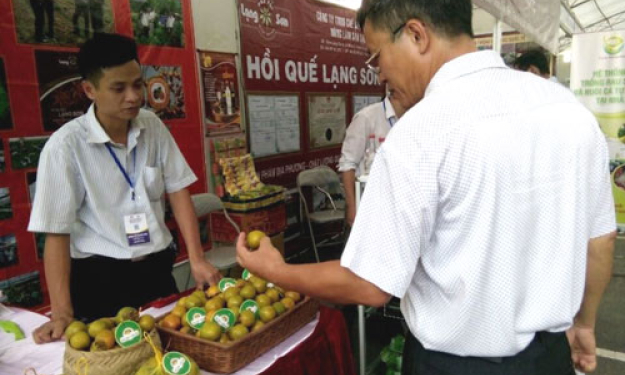 Gần 20 sản phẩm tham gia Chợ Công nghệ và thiết bị Hà Nội - Techmart Hanoi 2016