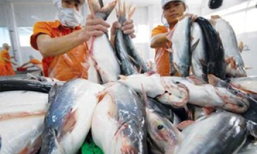 Nhận diện các mặt hàng xuất khẩu sang thị trường EAEU