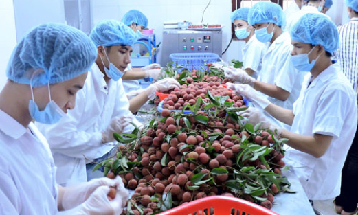 Xuất khẩu trái cây: Để bứt phá từ bước chuyển ban đầu