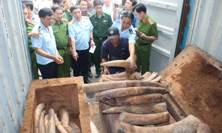 Ngăn chặn nạn buôn lậu động vật hoang dã, quý hiếm