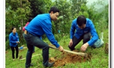 Phát triển Đảng trong thanh niên: Cách làm của Đoàn Khối các cơ quan tỉnh