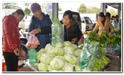 Chú trọng phát triển thương hiệu rau an toàn