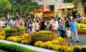 Mùng 2 Tết: Cả nước nắng vàng rực rỡ