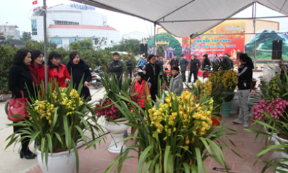 Khai mạc Chợ hoa, cây cảnh Xuân Đinh Dậu 2017