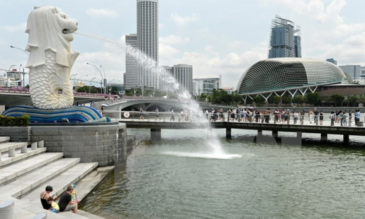 Singapore: Tỷ lệ người tốt nghiệp đại học không có việc tăng cao