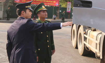 Vào cuộc từ đầu năm