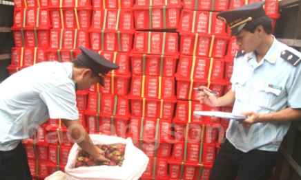 Thực hiện đồng bộ các giải pháp để tăng thu