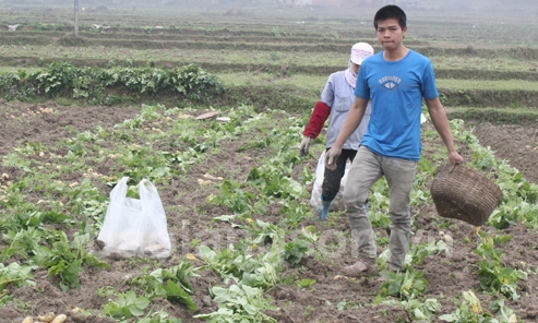 Nâng cao giá trị nông sản