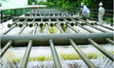 Thành lập BCĐ cấp nước an toàn, chống thất thoát, thất thu nước sạch