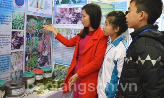 Nghiên cứu khoa học thúc đẩy sáng tạo trong học sinh, sinh viên